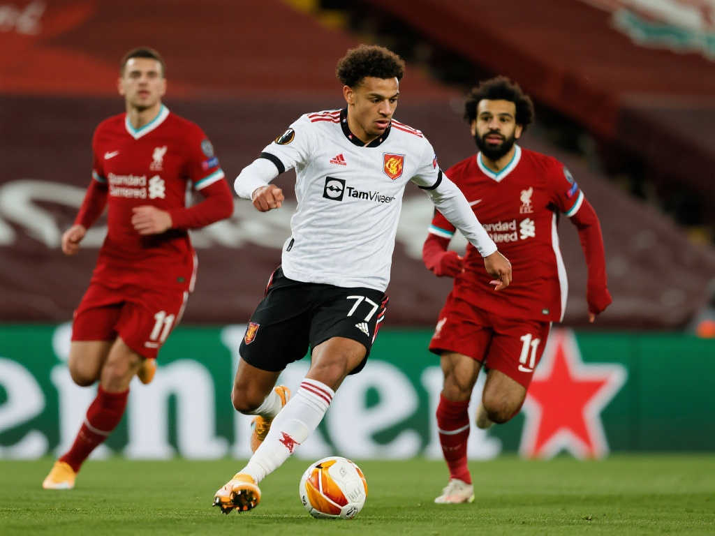 华体会体育官网-2