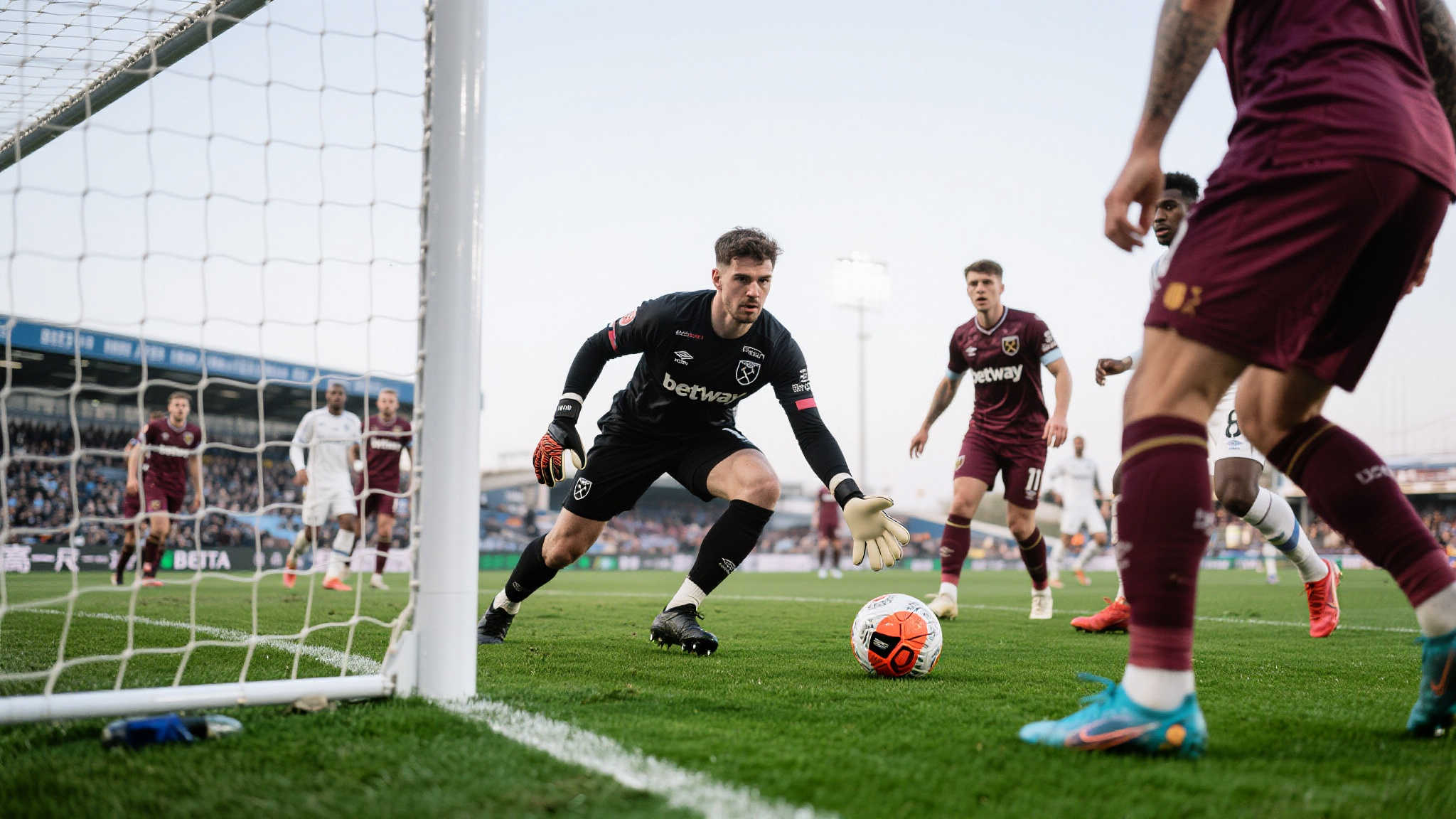 华体会体育官网-1